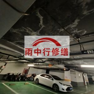浙江鄂尔多斯万基西山丽景地下室堵漏